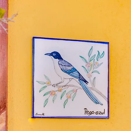 Quinta Almargem Lusitano - * טאווירה