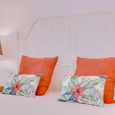 Quinta Almargem Lusitano - *