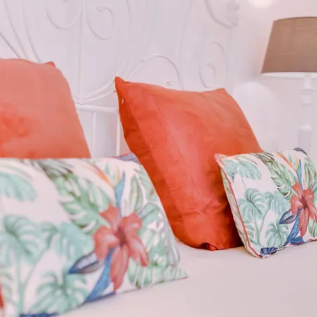 Quinta Almargem Lusitano - *