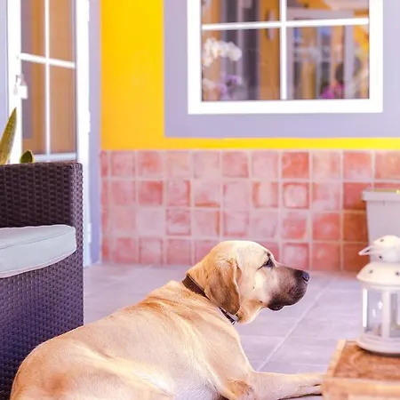 Quinta Almargem Lusitano - Фермерский дом