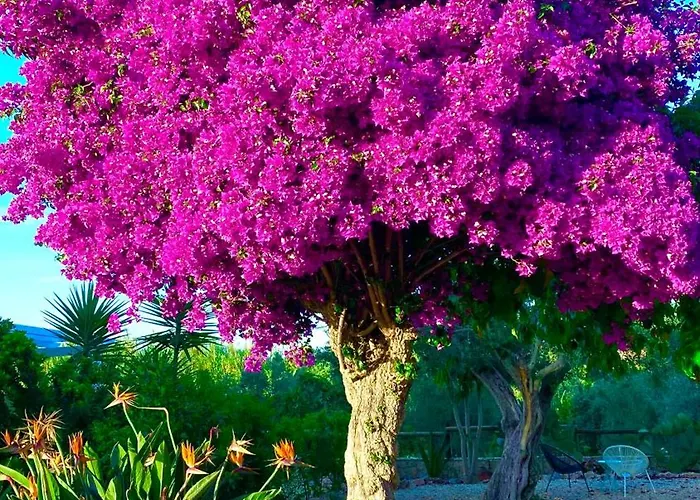 Farmház Quinta Almargem Lusitano - *