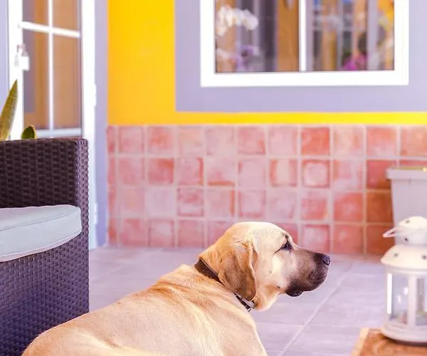 Quinta Almargem Lusitano - مزرعة للإقامة