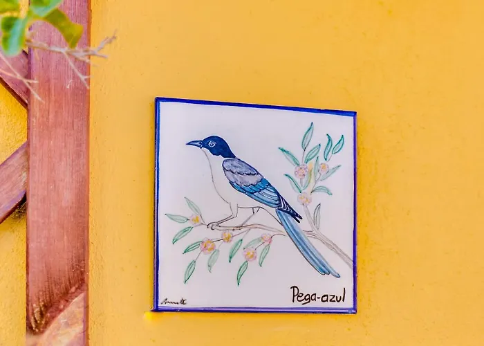 Quinta Almargem Lusitano - * تافيرا