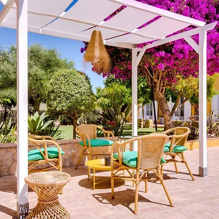 Quinta Almargem Lusitano - *